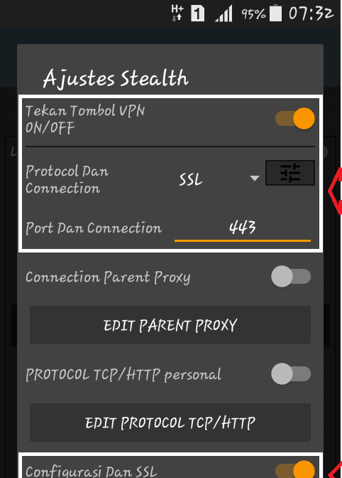 Atur Stealth Settings dengan ubah saklar ke posisi ON, gunakan Connection Protocol SSL, dan atur Connection Port menjadi 443.