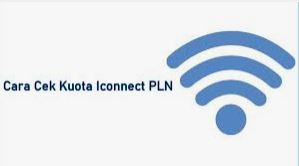 FUP Iconnect PLN 2023